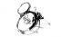 lampa_zabi_skrzek_1_necne_design.jpg