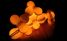 lampa_zabi_skrzek_5_necne_design.jpg